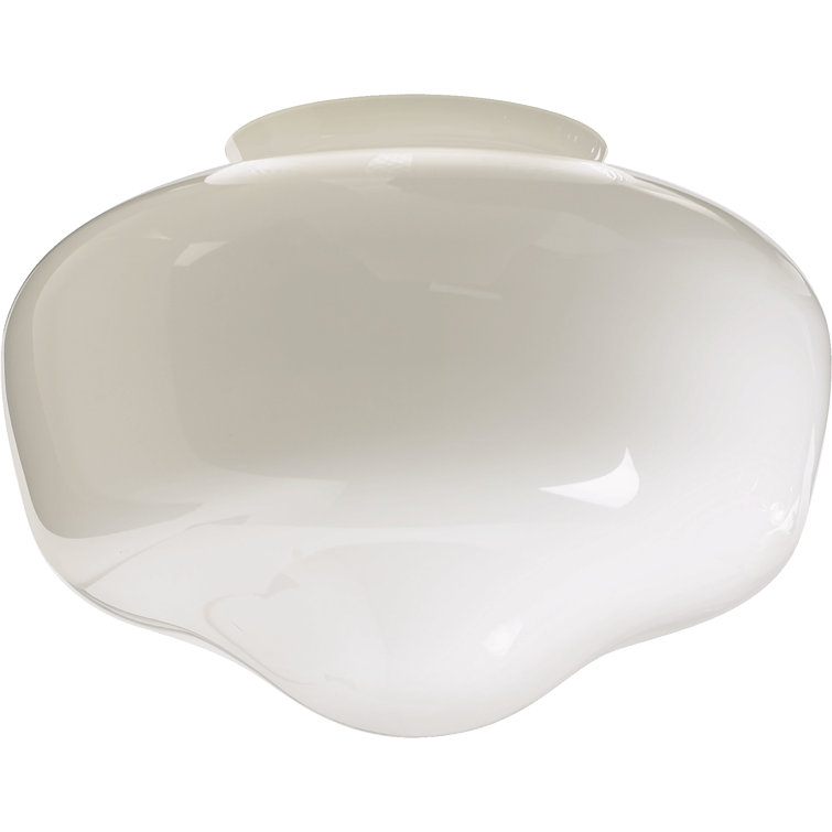 Charlton Home® 6'' H Glass Novelty Lamp Shade ( Screw On ) in White